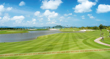 สนาม Links Course
